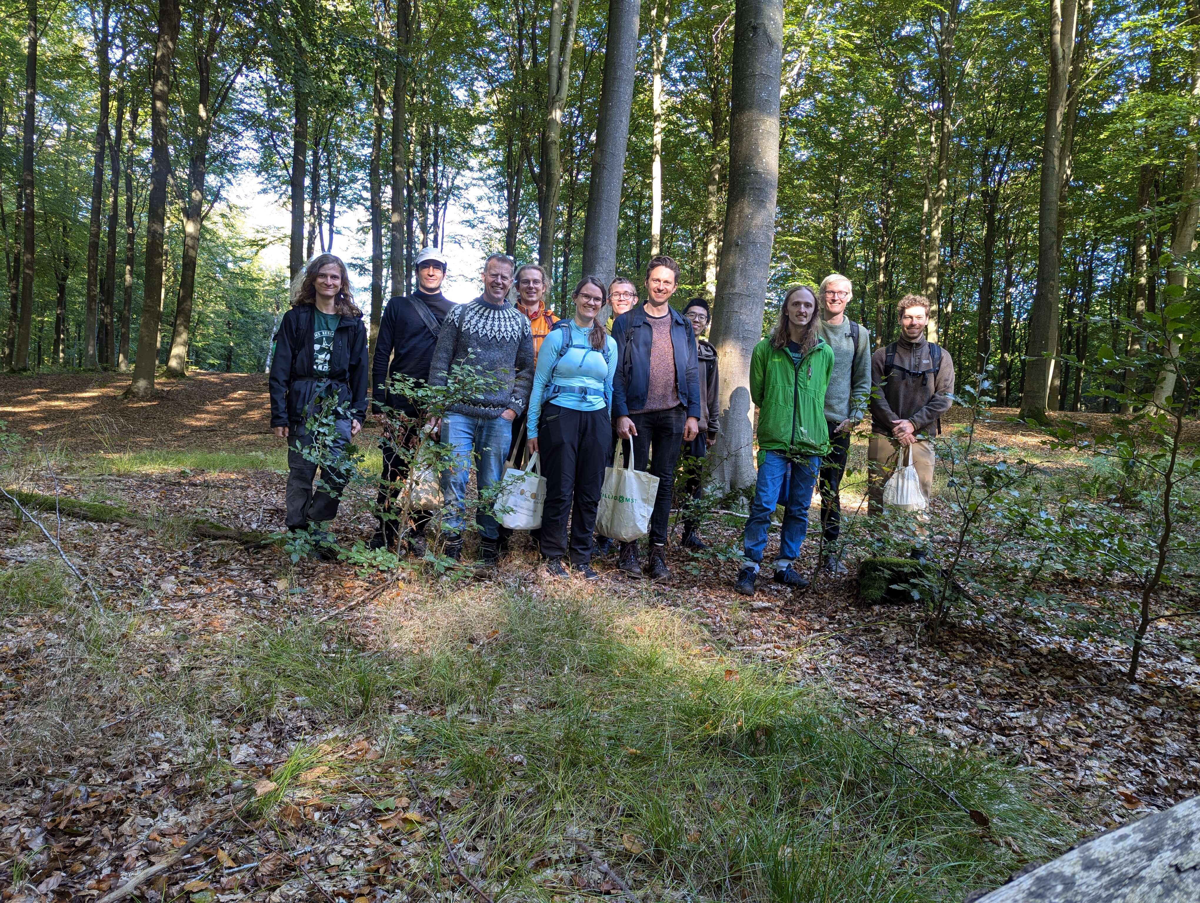 Mushroom picking group